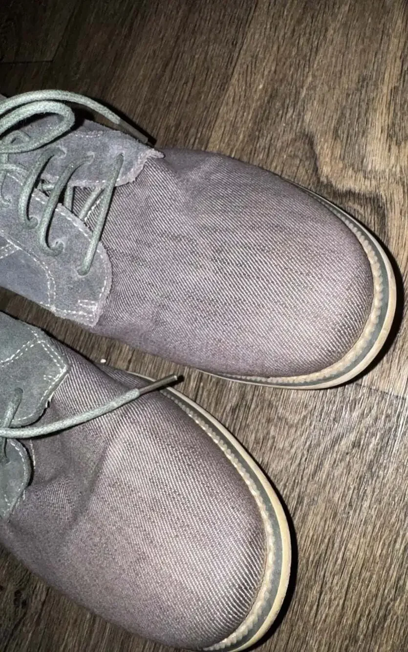Steve Madden Stoker Gray‎ Canvas and Suede Oxford Shoes